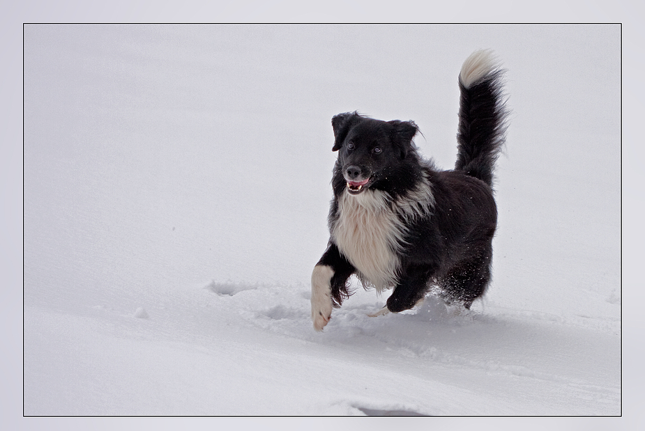 Spaß im Schnee