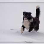 Spaß im Schnee