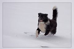 Spaß im Schnee