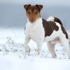 Spaß im Schnee ...