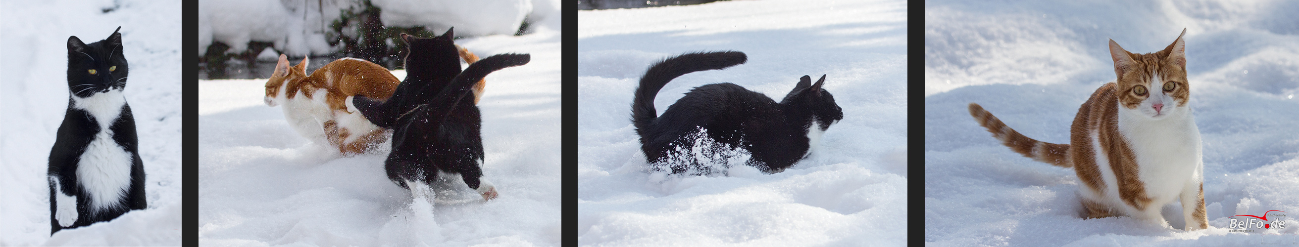 Spaß im Schnee