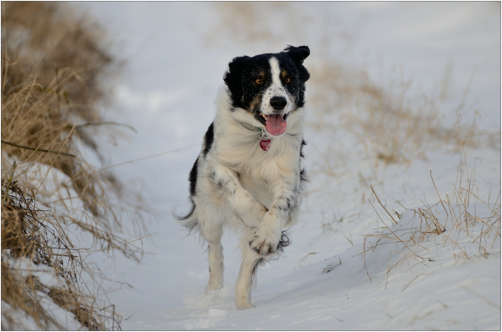 Spaß im Schnee!