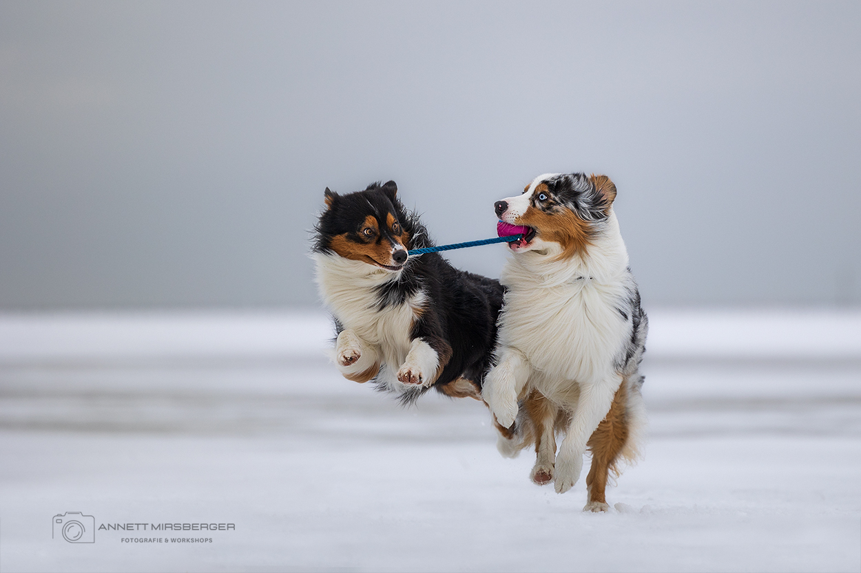 Spaß im Schnee