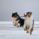 Spaß im Schnee