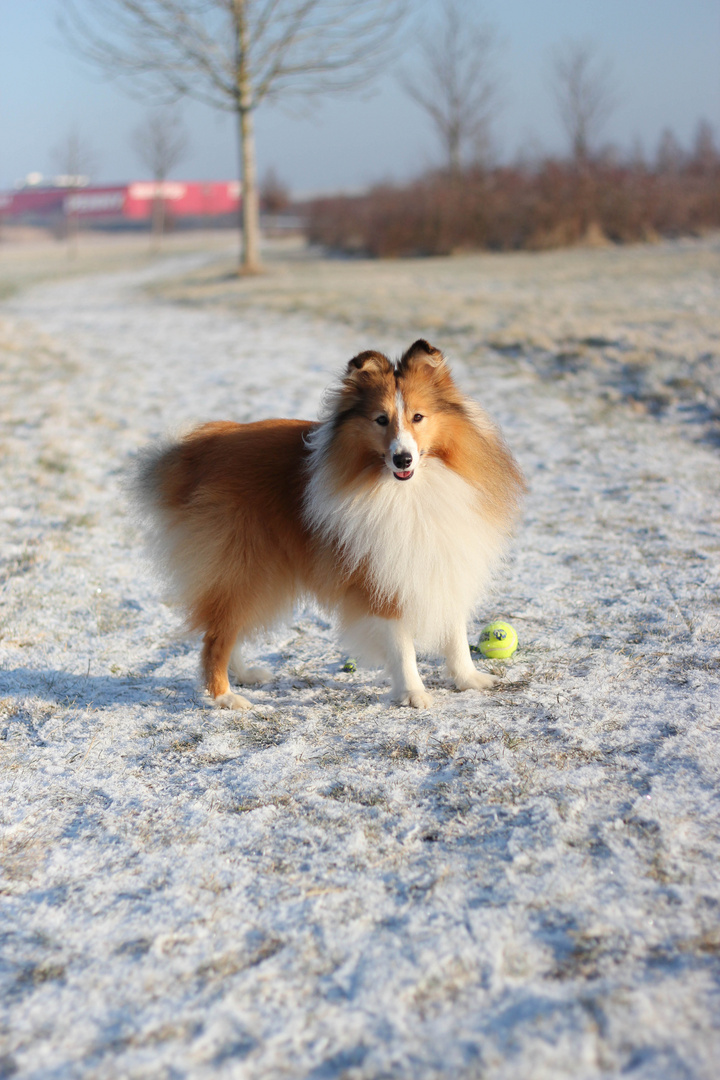 Spass im Schnee