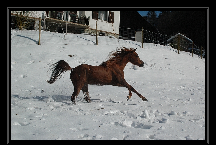 *Spaß im Schnee*