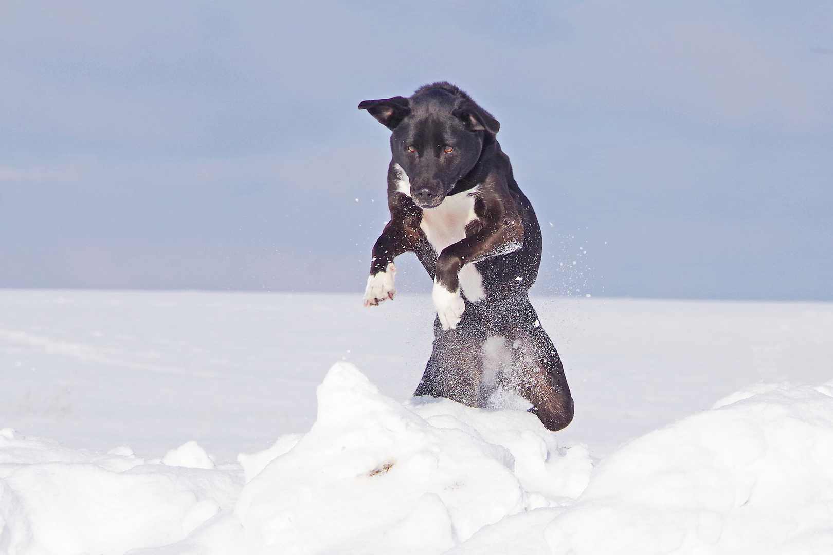 Spaß im Schnee