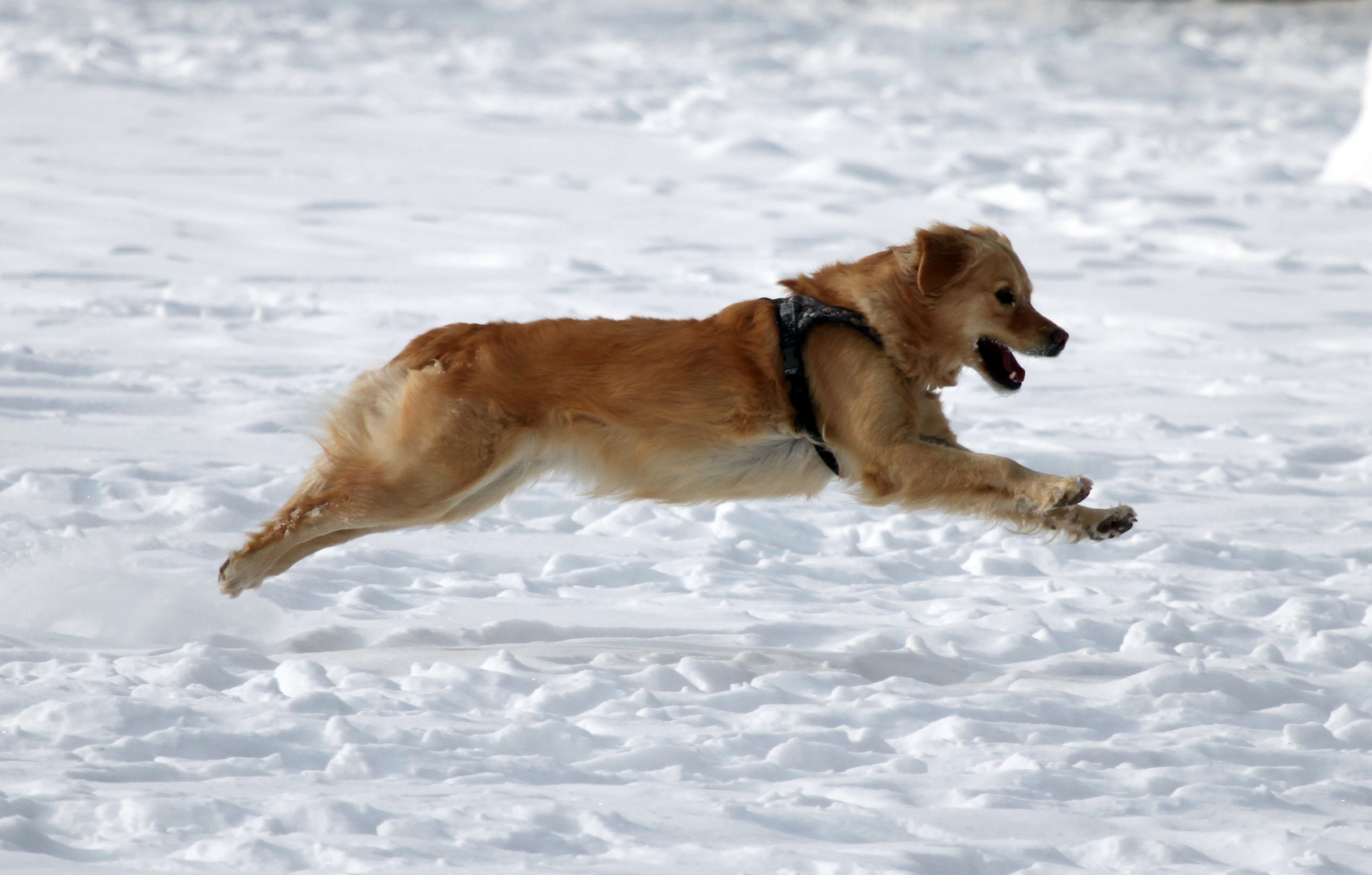 Spass im Schnee