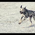 Spaß im Schnee