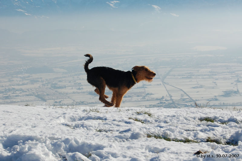 Spaß im Schnee