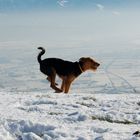 Spaß im Schnee