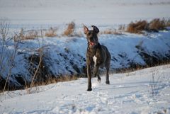 Spaß im Schnee