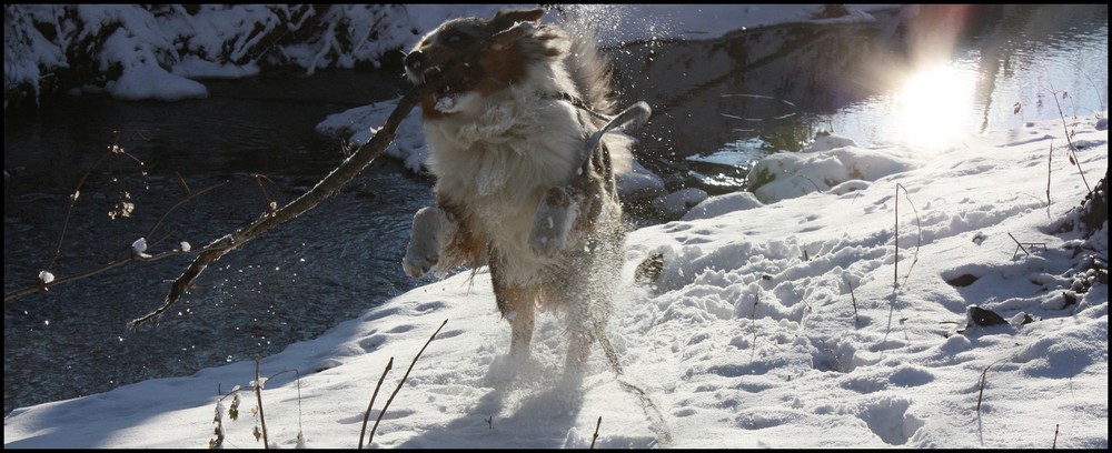 Spaß im Schnee :)