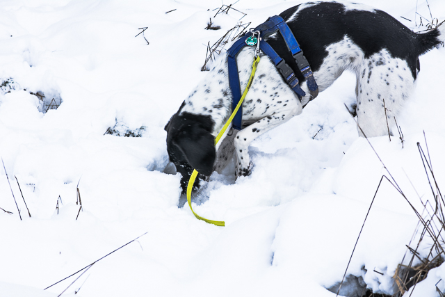 Spaß im Schnee