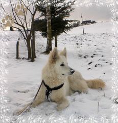 Spaß im Schnee