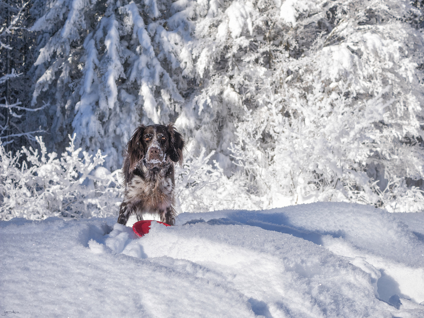 Spaß im Schnee