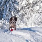 Spaß im Schnee