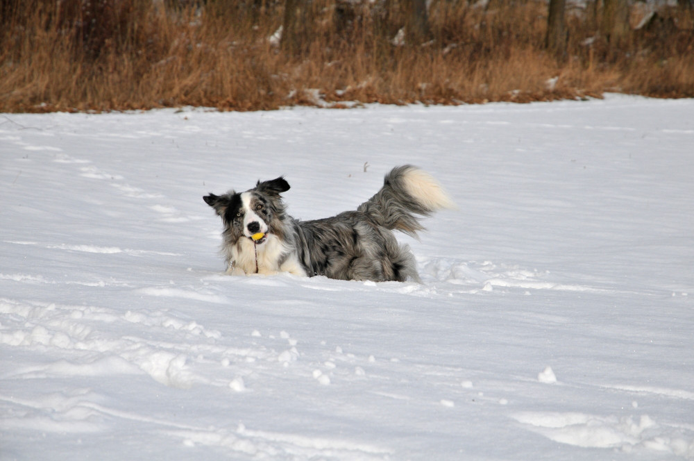 Spaß im Schnee