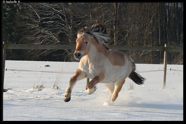 Spaß im Schnee