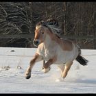 Spaß im Schnee