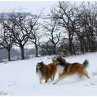 Spaß im Schnee