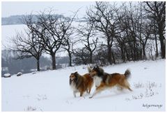 Spaß im Schnee