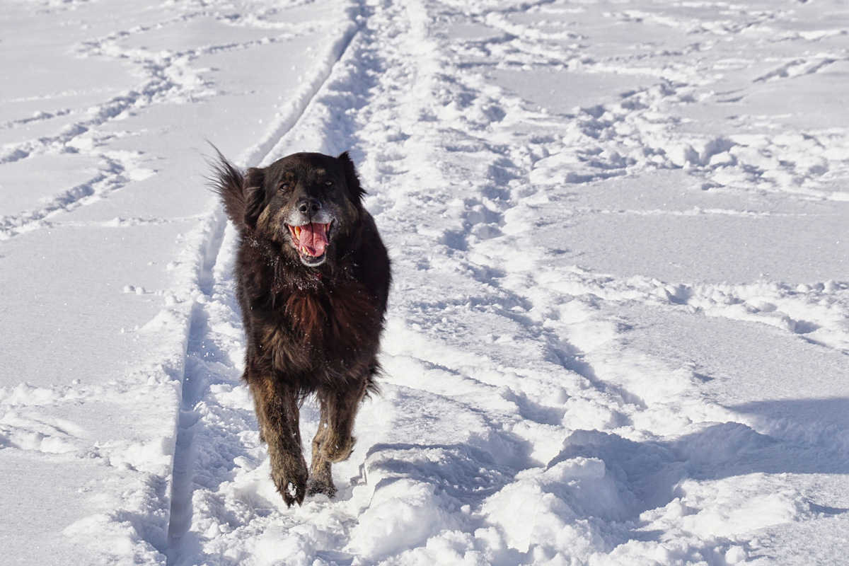 Spaß im Schnee