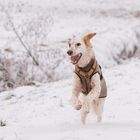 Spaß im Schnee 