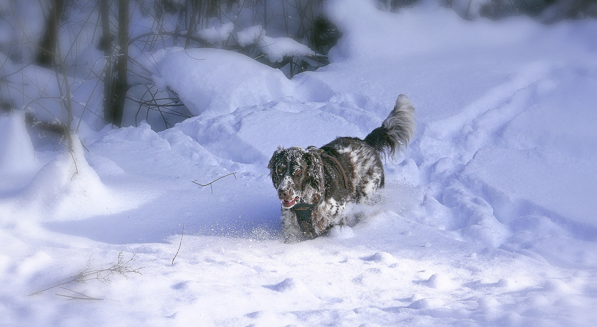 Spaß im Schnee