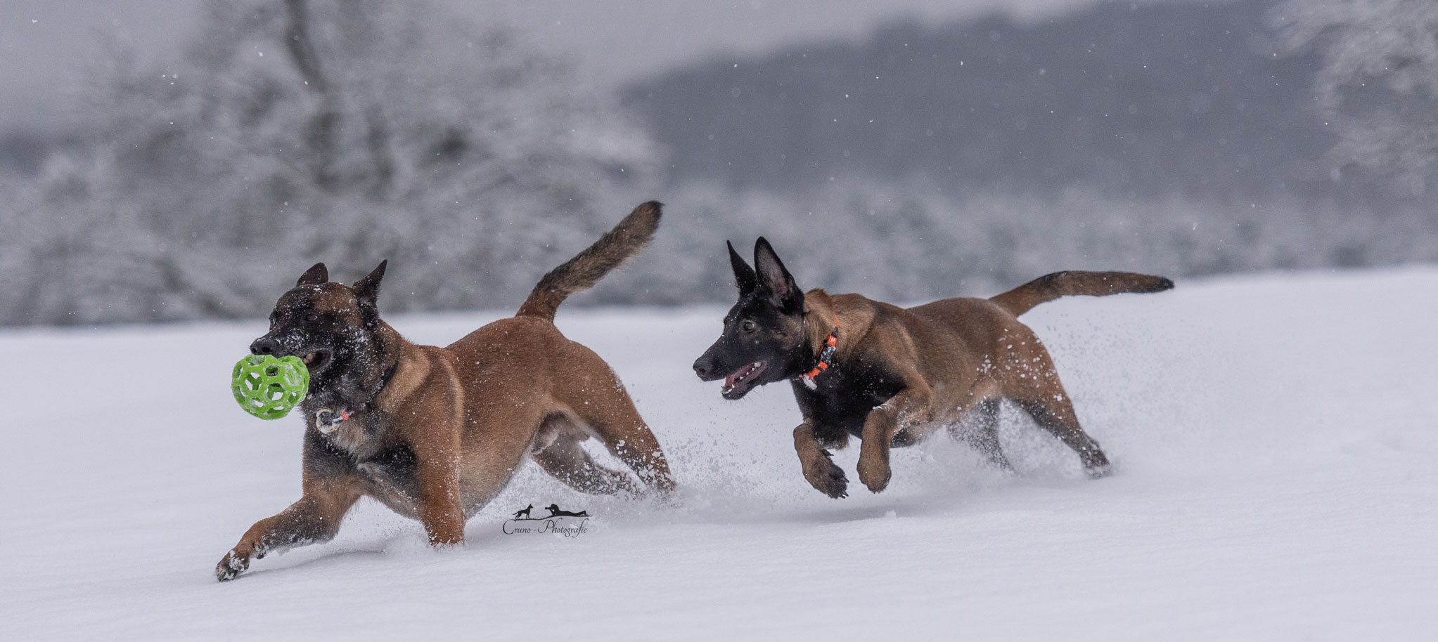 Spaß im Schnee