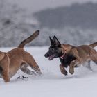 Spaß im Schnee