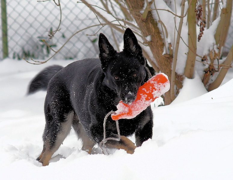 Spaß im Schnee...