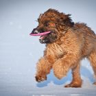 Spaß im Schnee