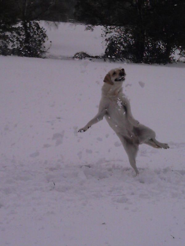 Spaß im Schnee...