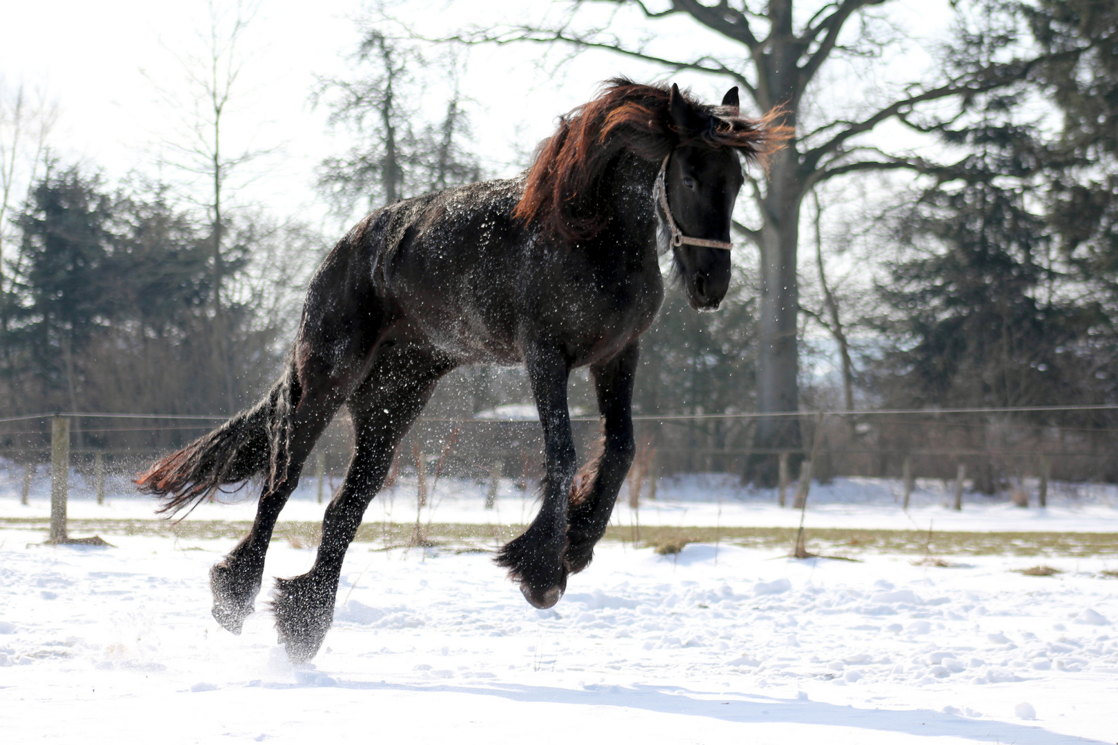 Spaß im Schnee