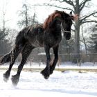 Spaß im Schnee