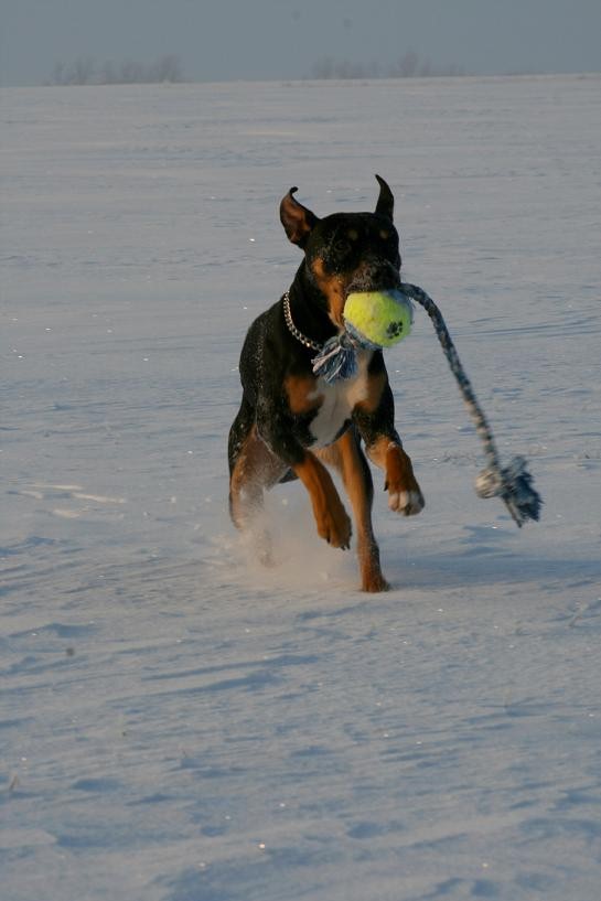 Spaß im Schnee :-)