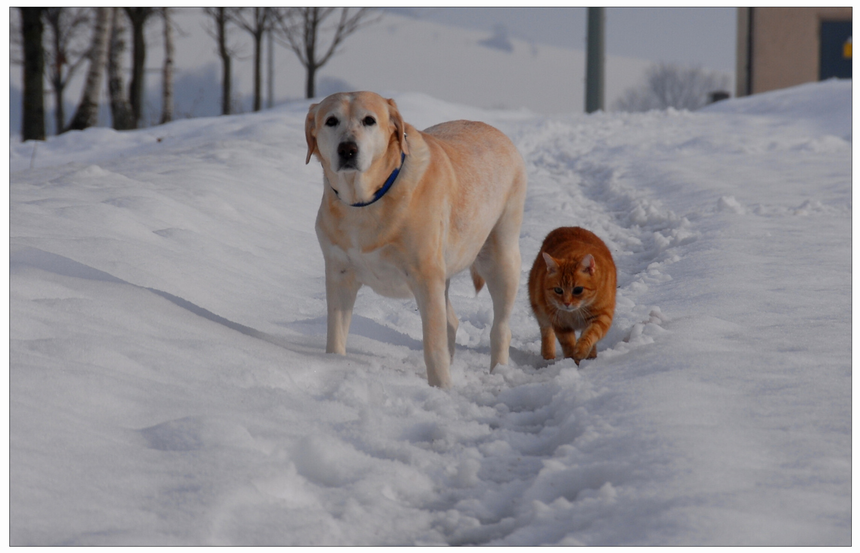 Spaß im Schnee (Diversión en la nieve)