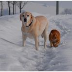 Spaß im Schnee (Diversión en la nieve)