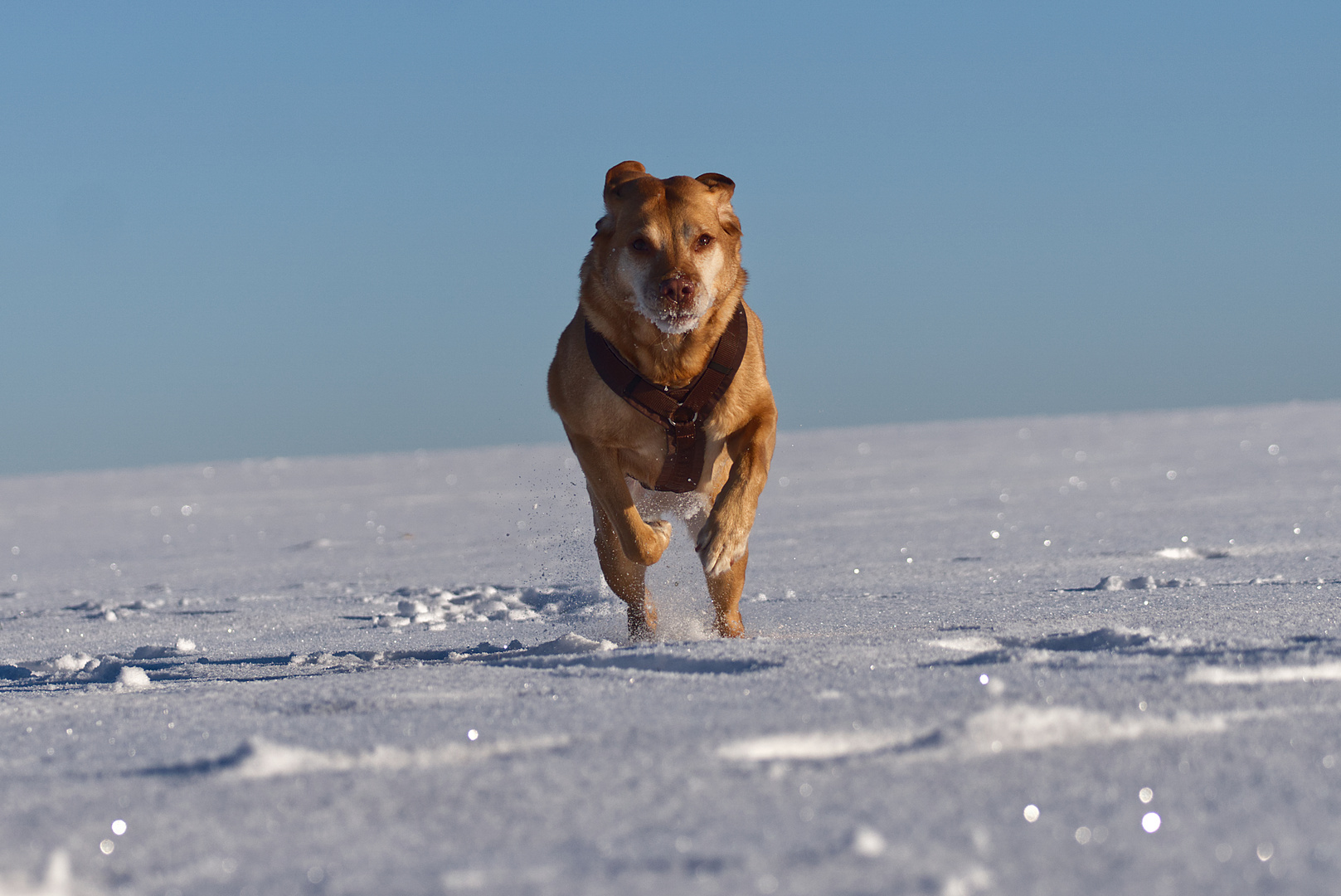 Spaß im Schnee