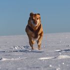 Spaß im Schnee