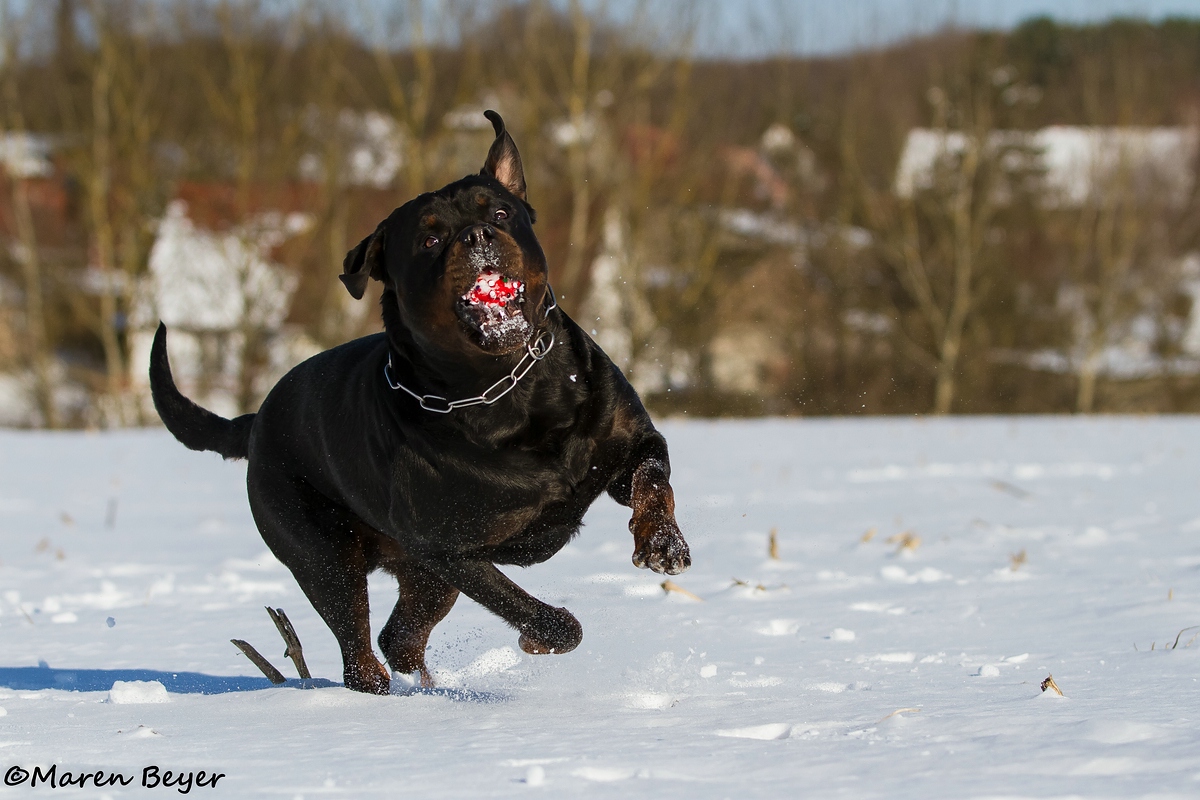 Spaß im Schnee