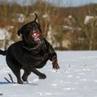 Spaß im Schnee