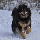 Spaß im Schnee. Ein Tibeter auf der Halde