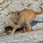 Spaß im Schnee