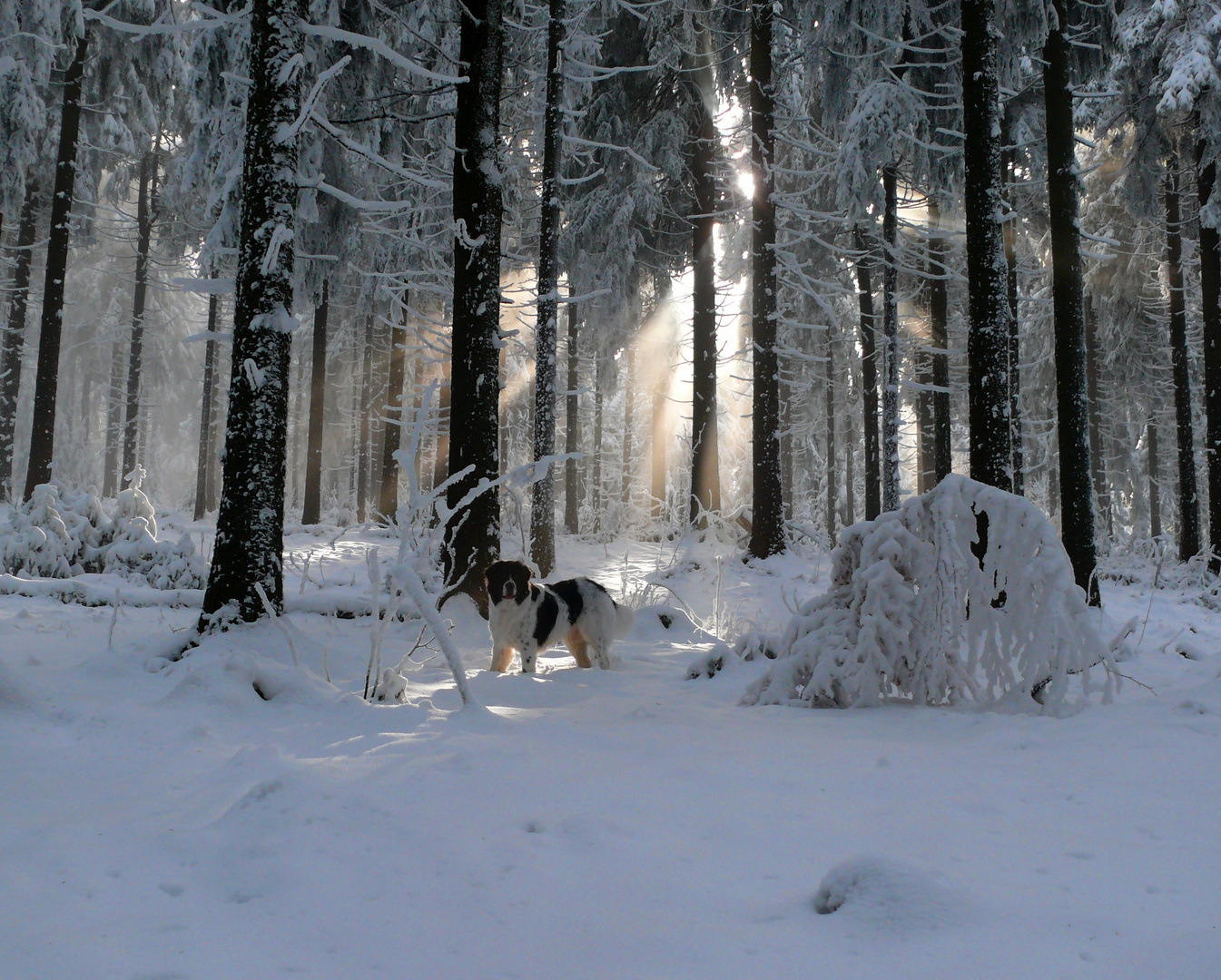 .. Spaß im Schnee