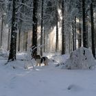 .. Spaß im Schnee