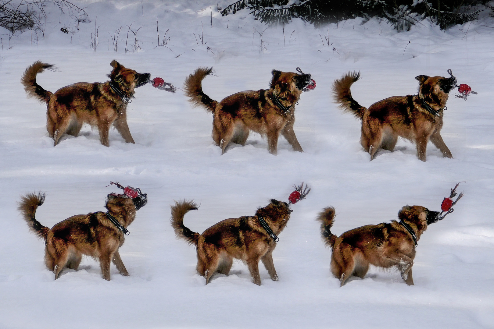 Spaß im Schnee