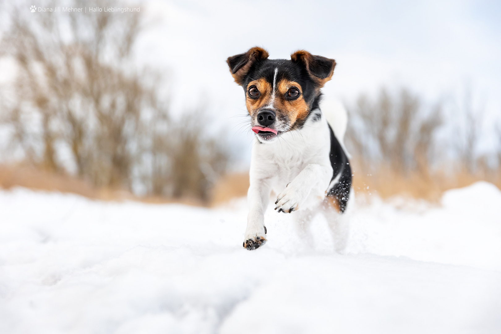 Spaß im Schnee - Hallo Leia!