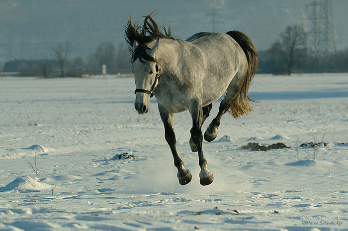 Spaß im Schnee mit Ronja